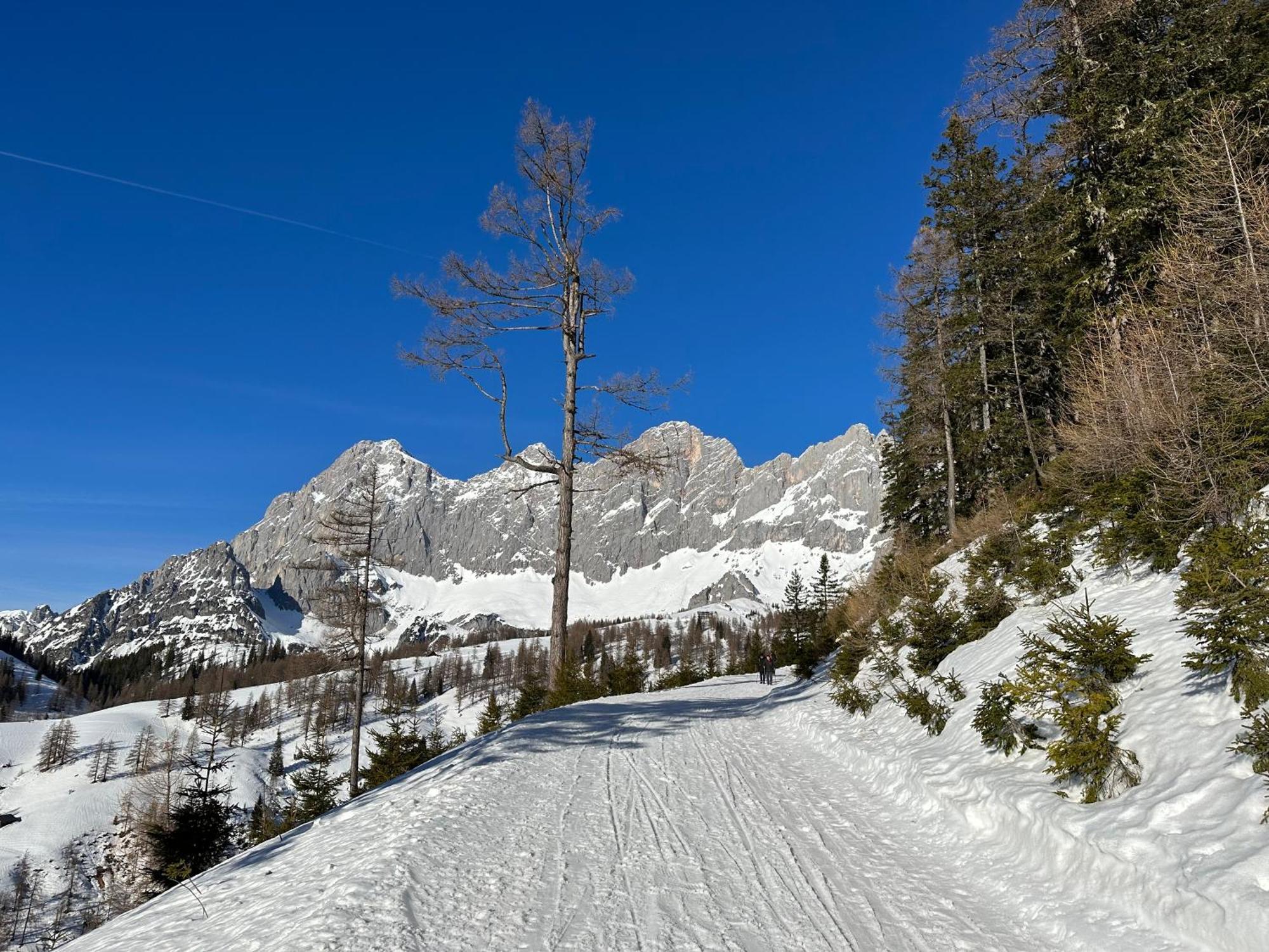 Appartements By Chalet Reiteralm - Ski In Ski Out Schladming Extérieur photo